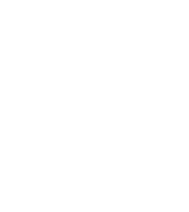 Cei mai buni au gemeni model negru pe tricou