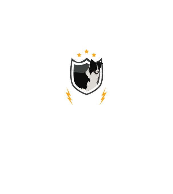 serviciu de securitate - securitate - persistență - 24 de ore pe zi model negru pe tricou