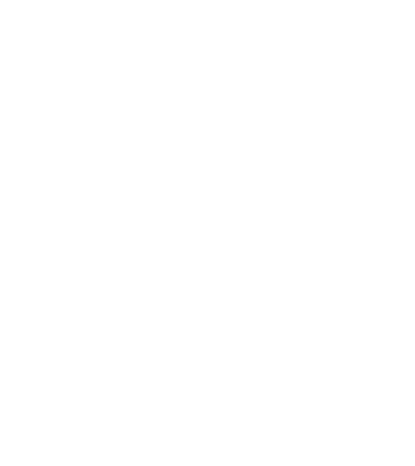 Camion 2. model gri pe tricou