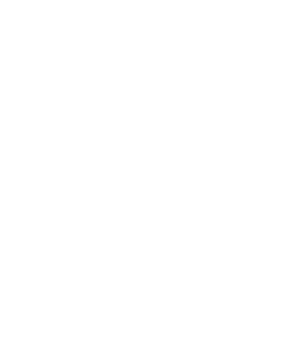 All men are created - 1947 model turcoaz pe tricou