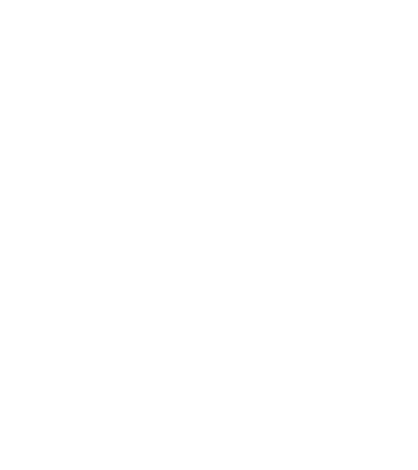 Așa arată un stăpân de Havanese foarte chipeș model gri închis pe tricou
