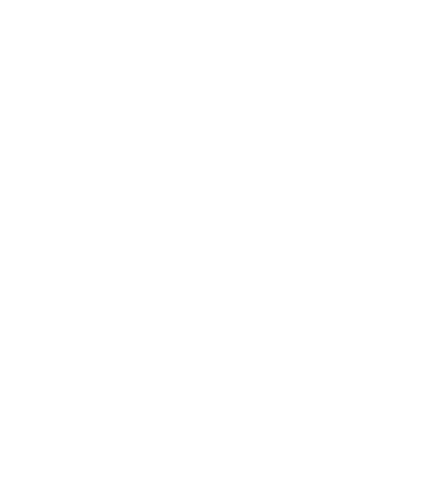 Vintage Dude - 10 model gri pe tricou