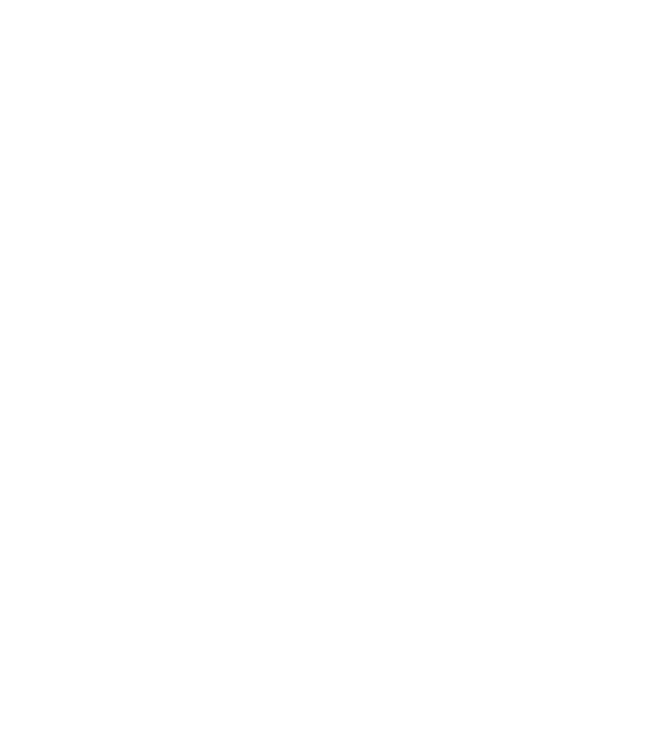 Respect the fish model gri pe tricou