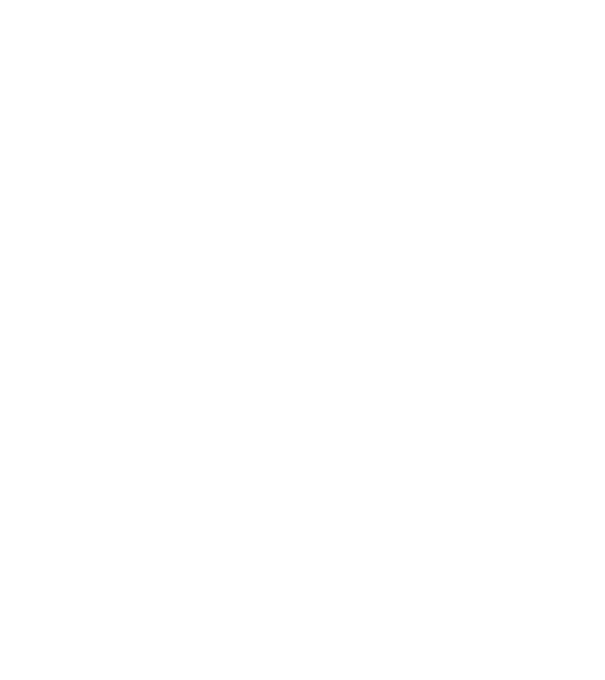 Crazy Cat Ladies are born in December model negru pe tricou