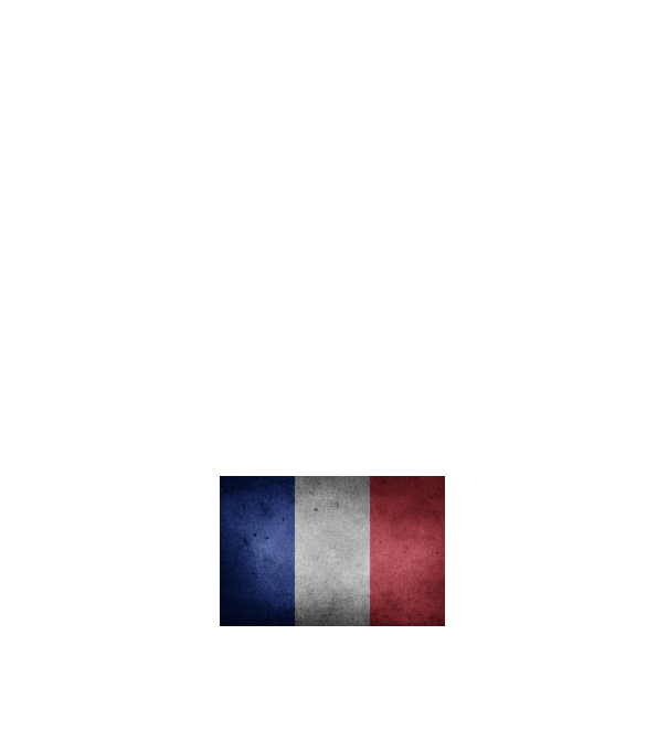 FRANCE model alb pe tricou