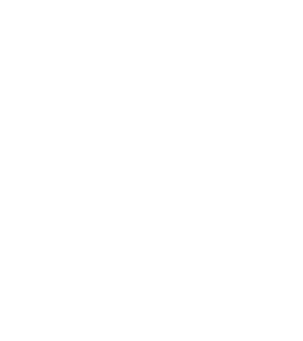 Crazy Cat Ladies are born in March model negru pe tricou