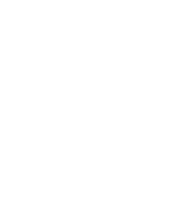 All men are created equal but only the best are born in november model negru pe tricou
