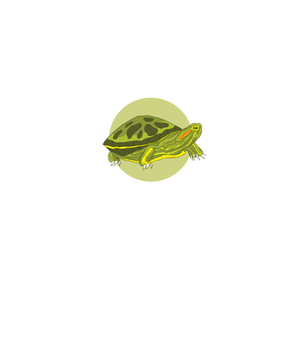 Turtle model negru pe tricou