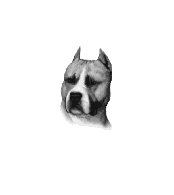 Staffordshire Terrier model alb pe tricou