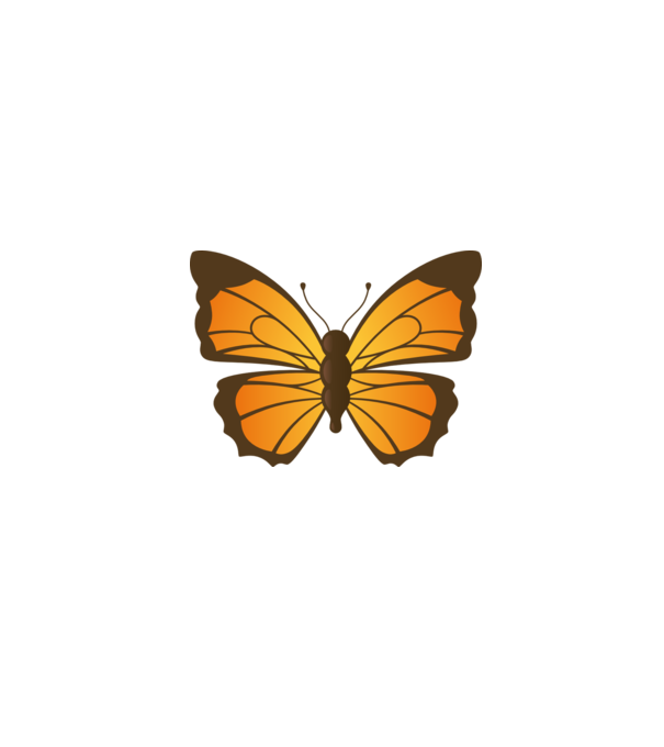 Butterfly model alb pe tricou