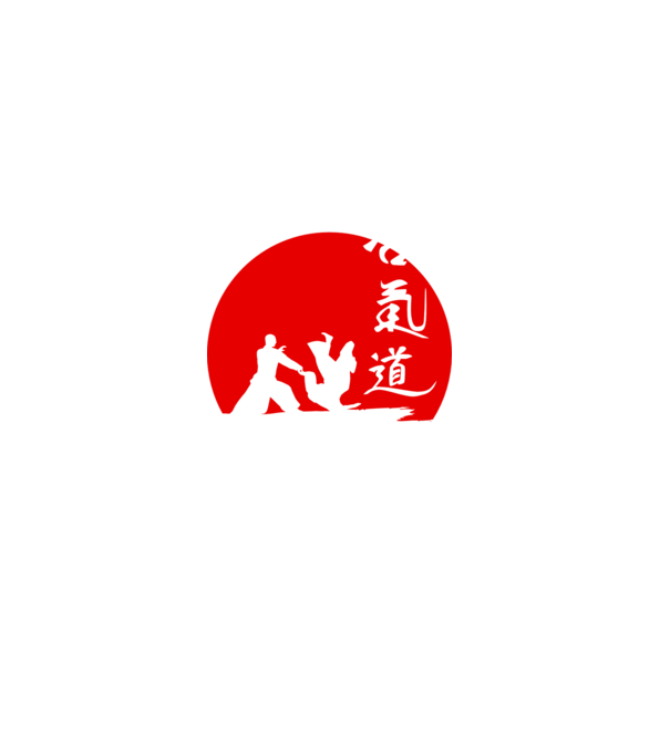 Aikido model negru pe tricou
