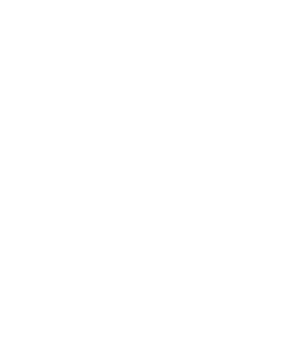 LOVE Havanese model negru pe tricou