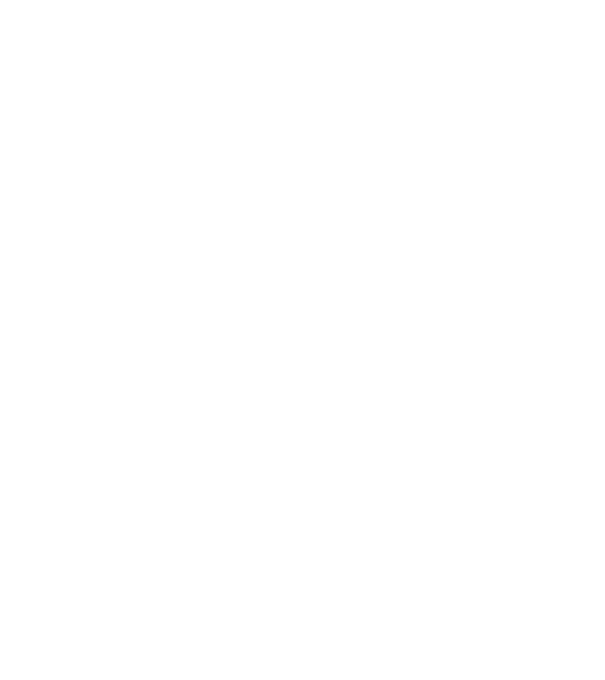 Zidarul model negru pe tricou