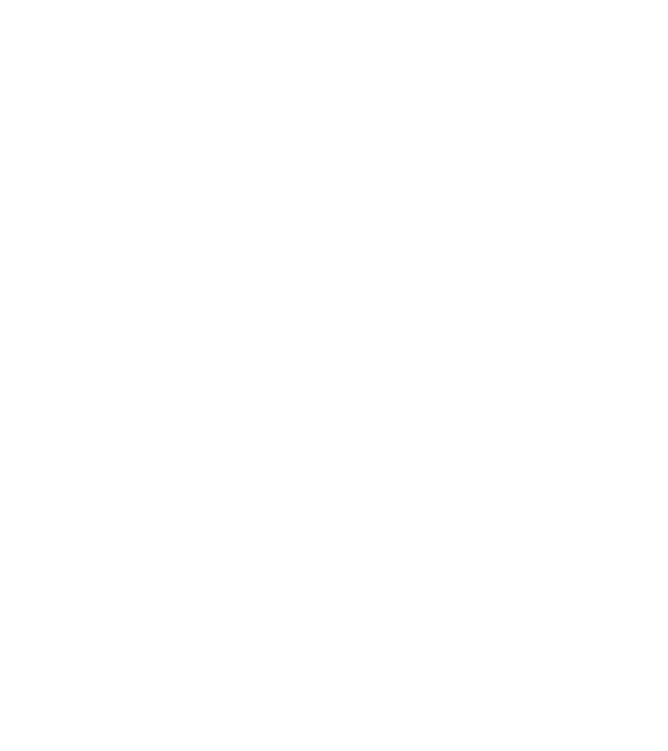 ADVENTURE model alb pe tricou