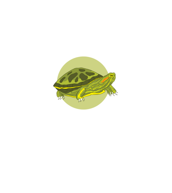 Turtle model negru pe tricou