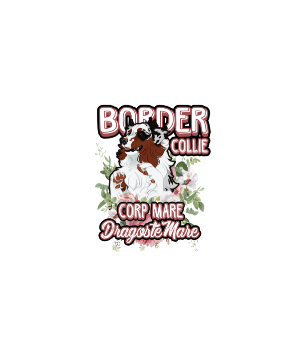 border collie - multă blană multă dragoste model alb pe tricou