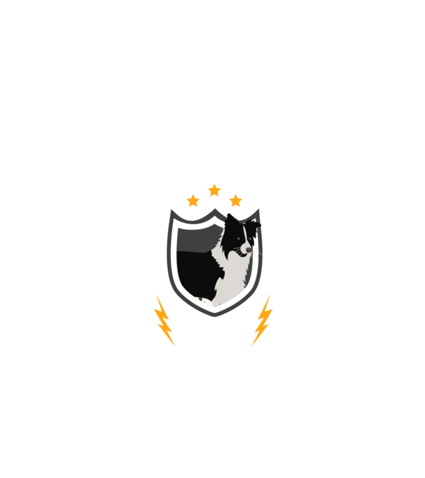 serviciu de securitate - securitate - persistență - 24 de ore pe zi model negru pe tricou