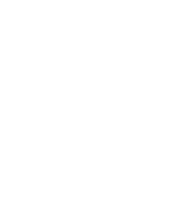 Crazy Cat Ladies are born in June model negru pe tricou