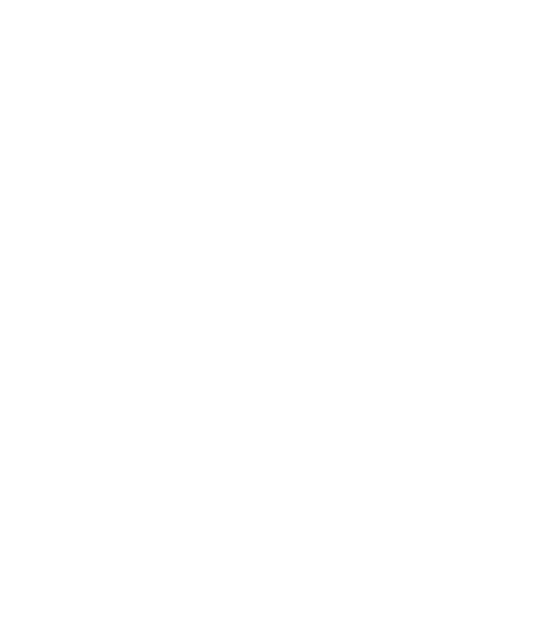 Motiv cuplu The Boss model gri pe tricou