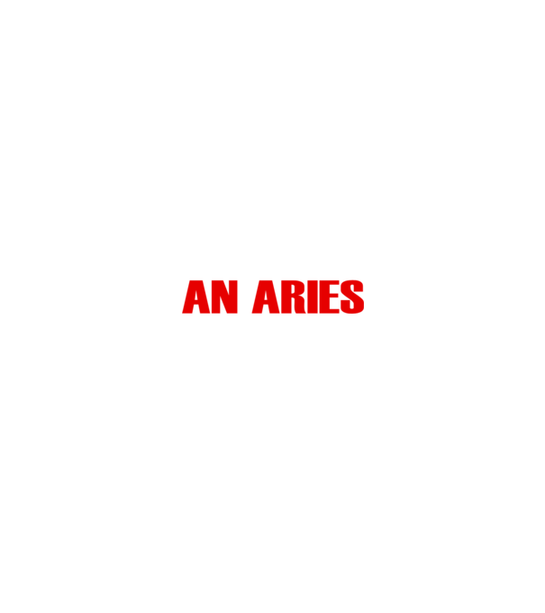 Piss of an ARIES model negru pe tricou