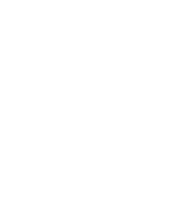 Bug fixed model negru pe tricou
