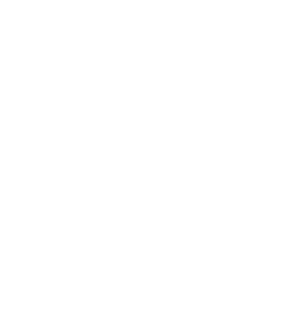 All men are created equal but only the best are born in december model negru pe tricou
