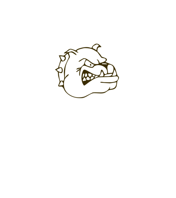 Bulldog model gri pe tricou
