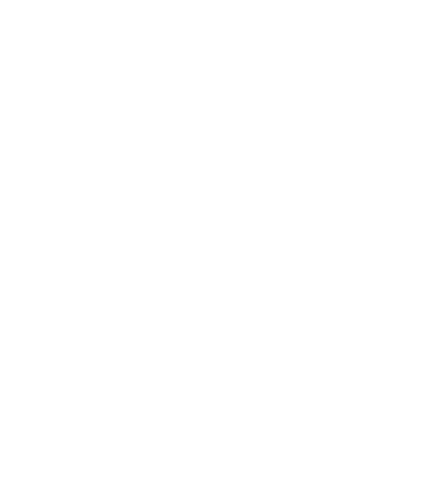 EarthLogo model negru pe tricou