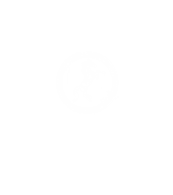 horse badge model albastru jeanși pe tricou