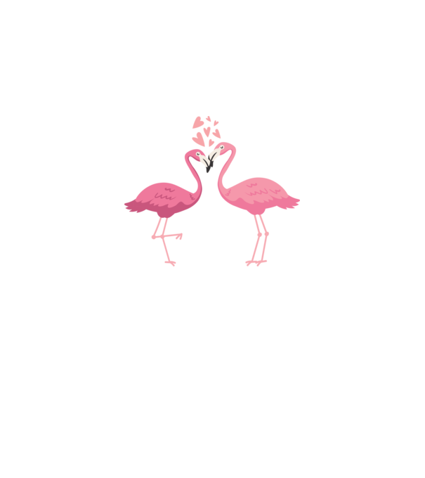 FLAMINGO ÎNDRĂGOSTIȚI model alb pe tricou