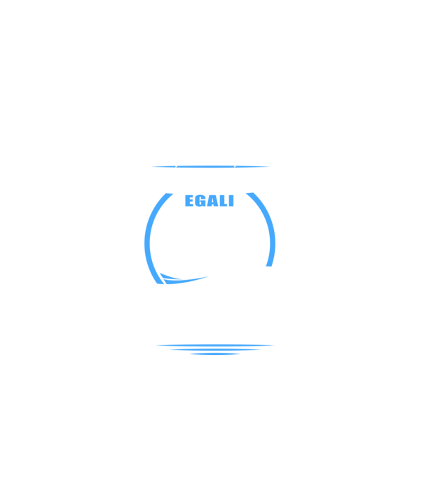 Toți bărbații se nasc egali șoferi de autobuz model negru pe tricou