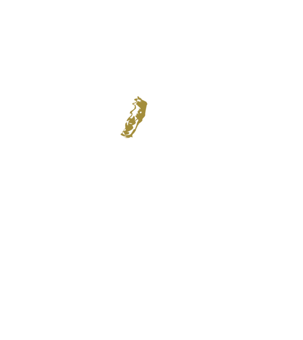 King in the north 2c model negru pe tricou