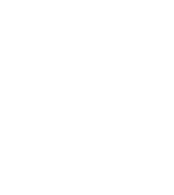 Box evolution model turcoaz pe tricou