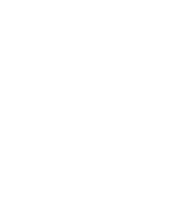 poștașul model albastru închis pe tricou