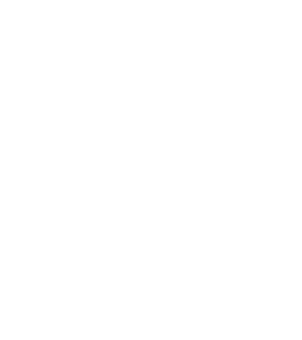 LOVE Vizsla model turcoaz pe tricou