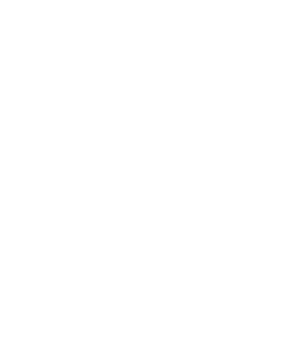 I see your point model turcoaz pe tricou