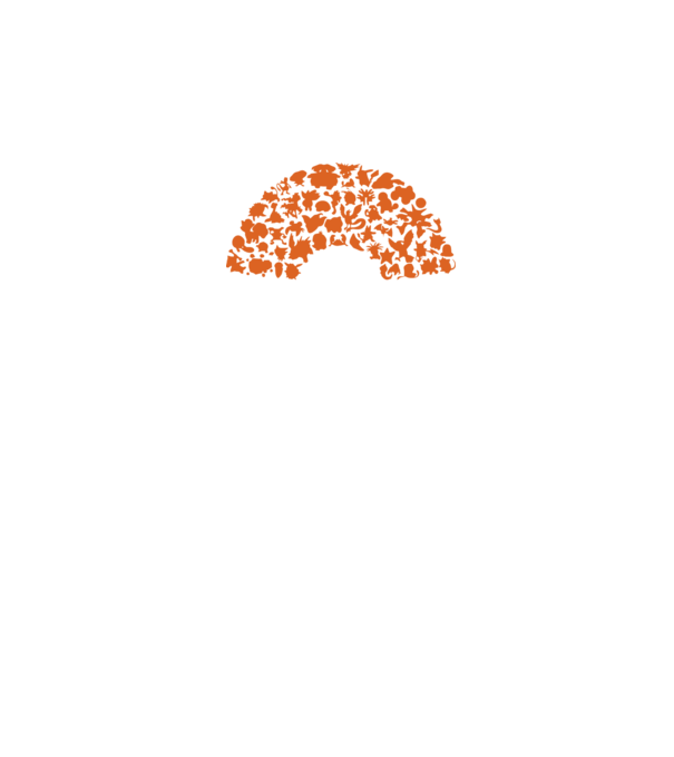 Pokeball model negru pe tricou