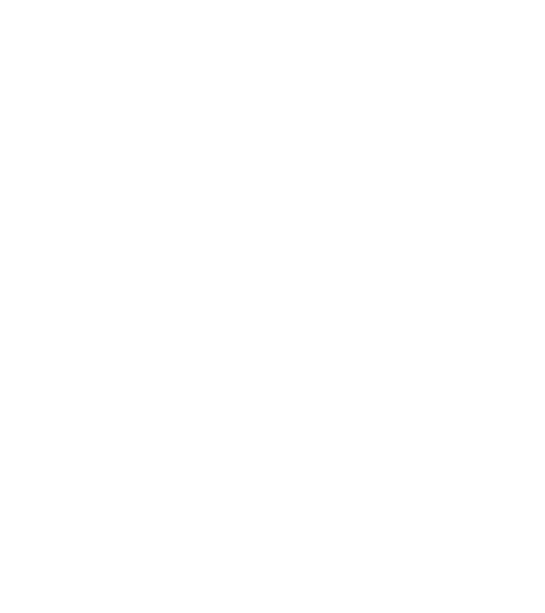 Așa arată un HOCHEIST foarte chipeș model negru pe tricou