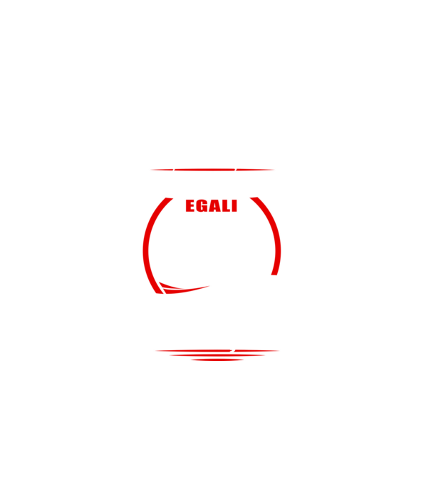 Toți bărbații se nasc egali faianțari model negru pe tricou