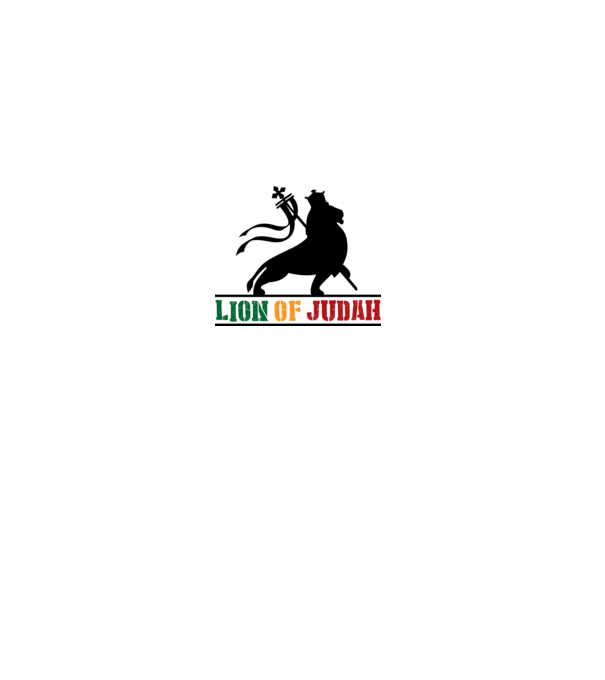 Lion Of Judah model gri pe tricou