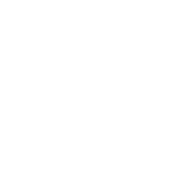 Regele - ceaunului! model turcoaz pe tricou