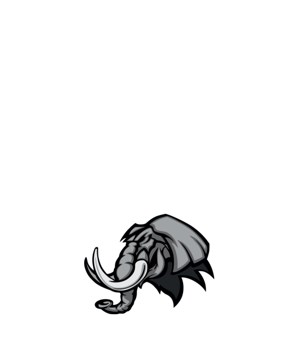 Elephant model negru pe tricou