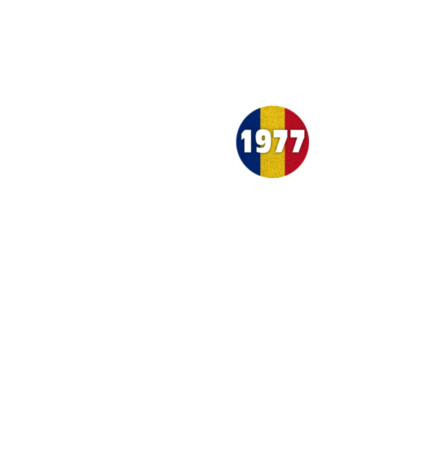 made in 1977 model turcoaz pe tricou