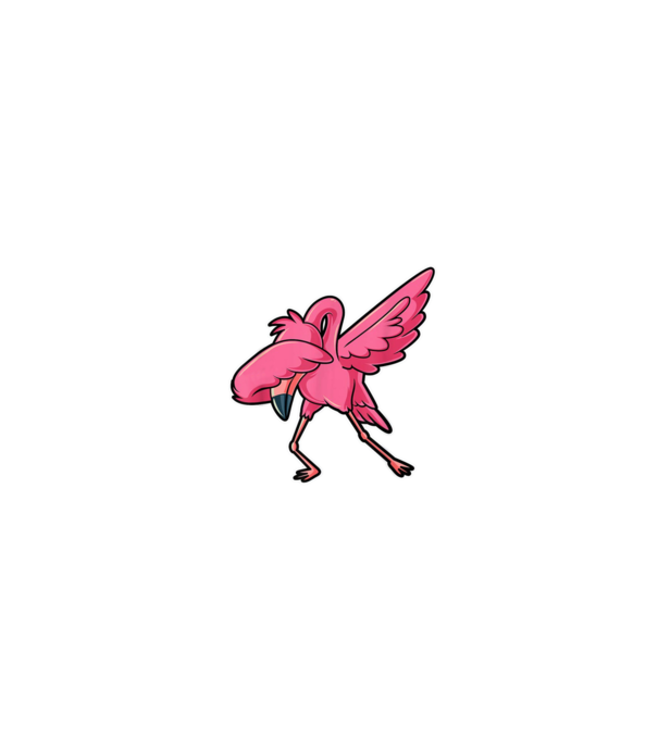Flamazing girls are born in february model negru pe tricou