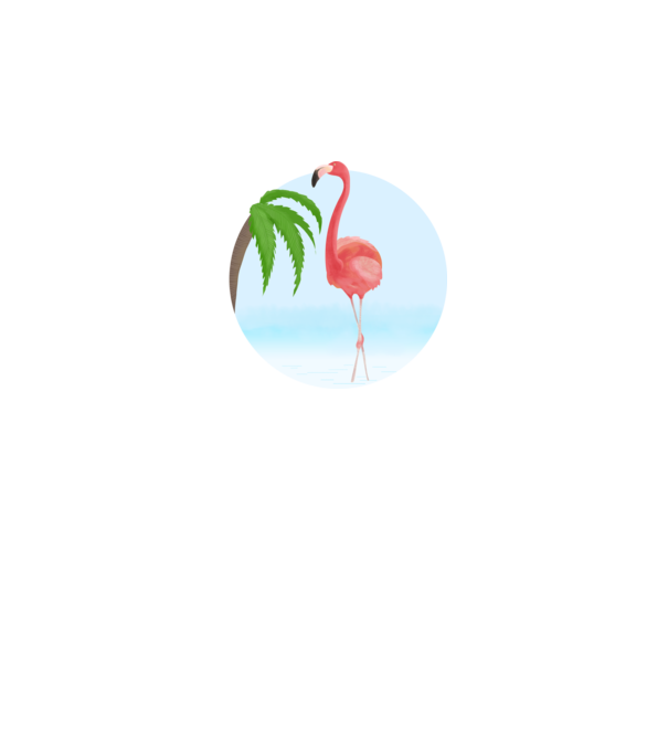 Flamingo model alb pe tricou