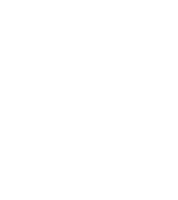 LOVE Staffordshire Terrier model negru pe tricou