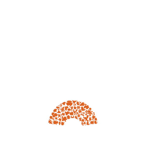 Pokeball model alb pe tricou