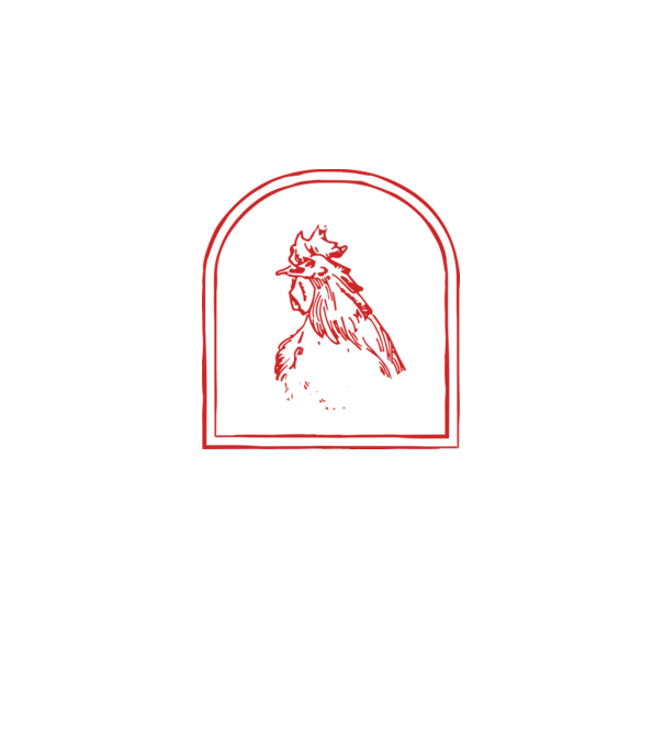 Festival BBQ - cu tata în grădina din spate! model negru pe tricou