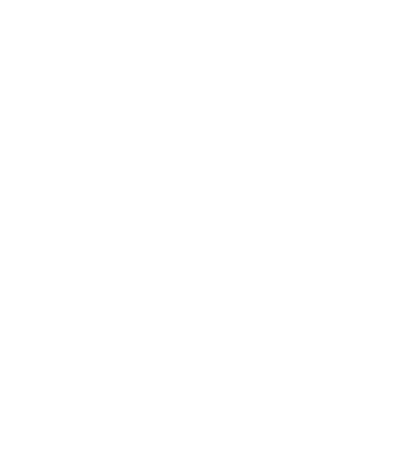 Crazy Cat Ladies are born in June model negru pe tricou