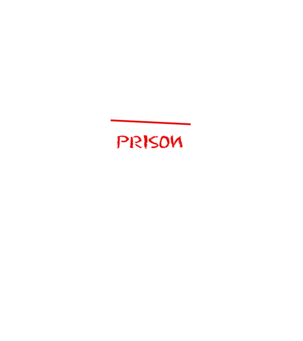 Back to prison - școală model gri pe tricou